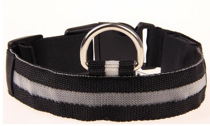 LED Safety Collar for Dogs & Cats – Rechargeable, Waterproof Night Visibility Collar