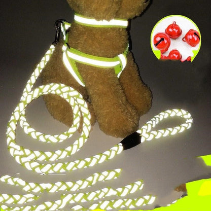 Dog Leash – Heavy-Duty, Tangle-Free Walking Leash for Dogs