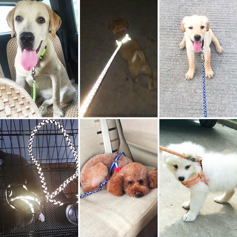 Dog Leash – Heavy-Duty, Tangle-Free Walking Leash for Dogs