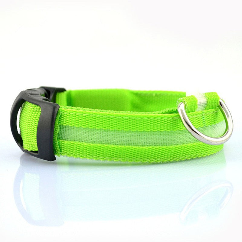 LED Safety Collar for Dogs & Cats – Rechargeable, Waterproof Night Visibility Collar
