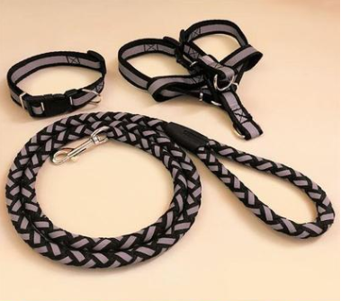 Dog Leash – Heavy-Duty, Tangle-Free Walking Leash for Dogs