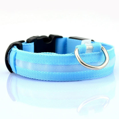 LED Safety Collar for Dogs & Cats – Rechargeable, Waterproof Night Visibility Collar