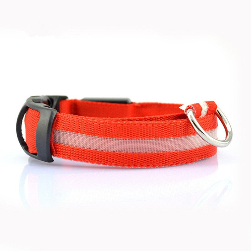 LED Safety Collar for Dogs & Cats – Rechargeable, Waterproof Night Visibility Collar
