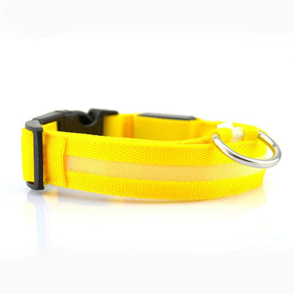 LED Safety Collar for Dogs & Cats – Rechargeable, Waterproof Night Visibility Collar